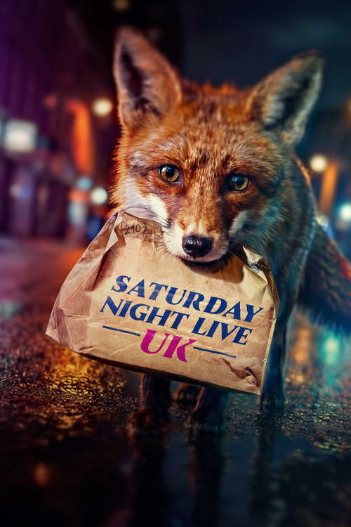 Saturday Night Live UK S01E04 Jack Whitehall 1080p HEVC x265-MeGusta
