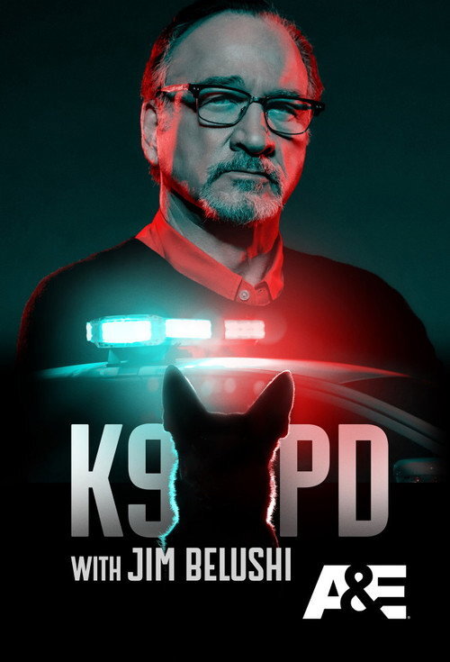 K9 PD with Jim Belushi S01E19 1080p HEVC x265-MeGusta