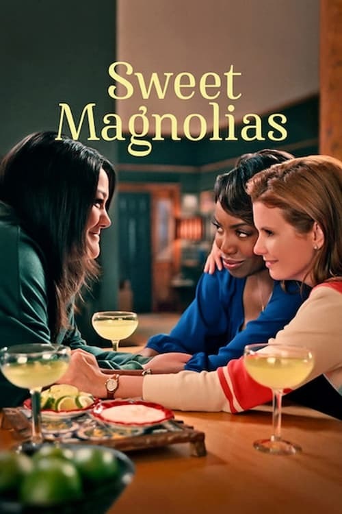 Sweet Magnolias S05E08 Everyday Every Day 1080p HEVC x265-MeGusta