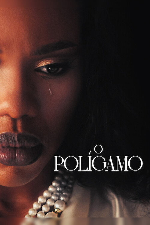 The Polygamist S01E06 1080p HEVC x265-MeGusta